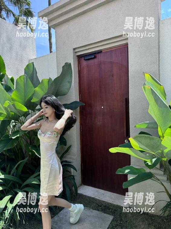 黑料51安卓版本更新公告新增多项实用功能
